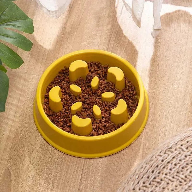 Pawsitive Pace Slow Feeder Bowl