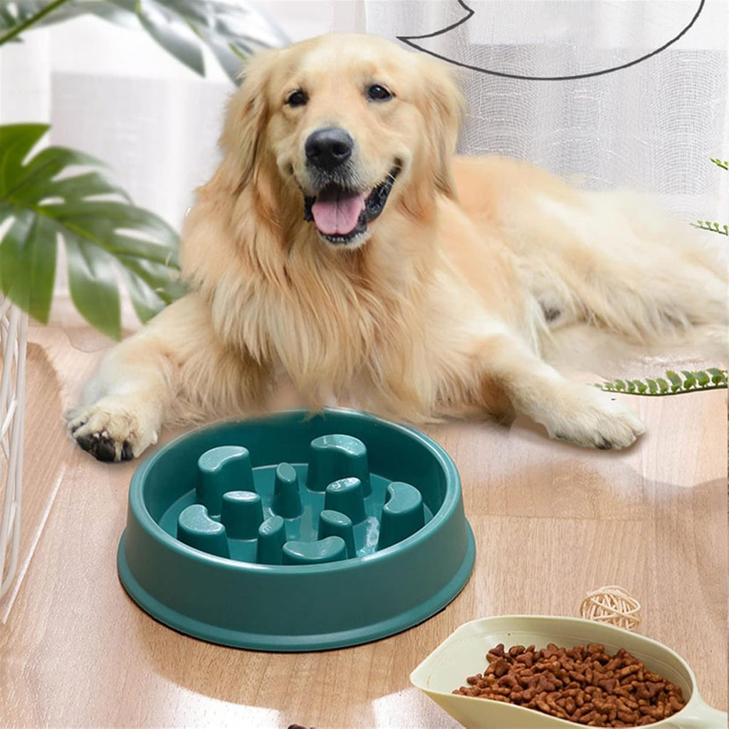 Pawsitive Pace Slow Feeder Bowl